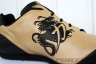  pHat_shOEs